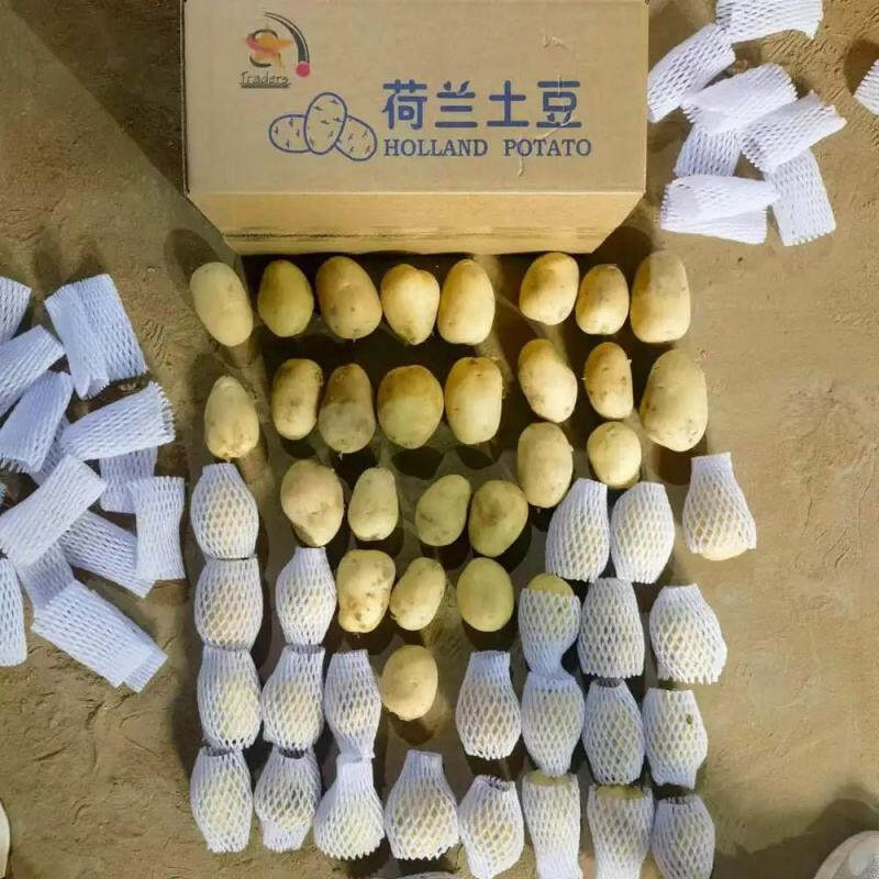 Fresh potatoes of 2025, low price, suitable for Atlantic fries